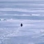 PENGUIN图标